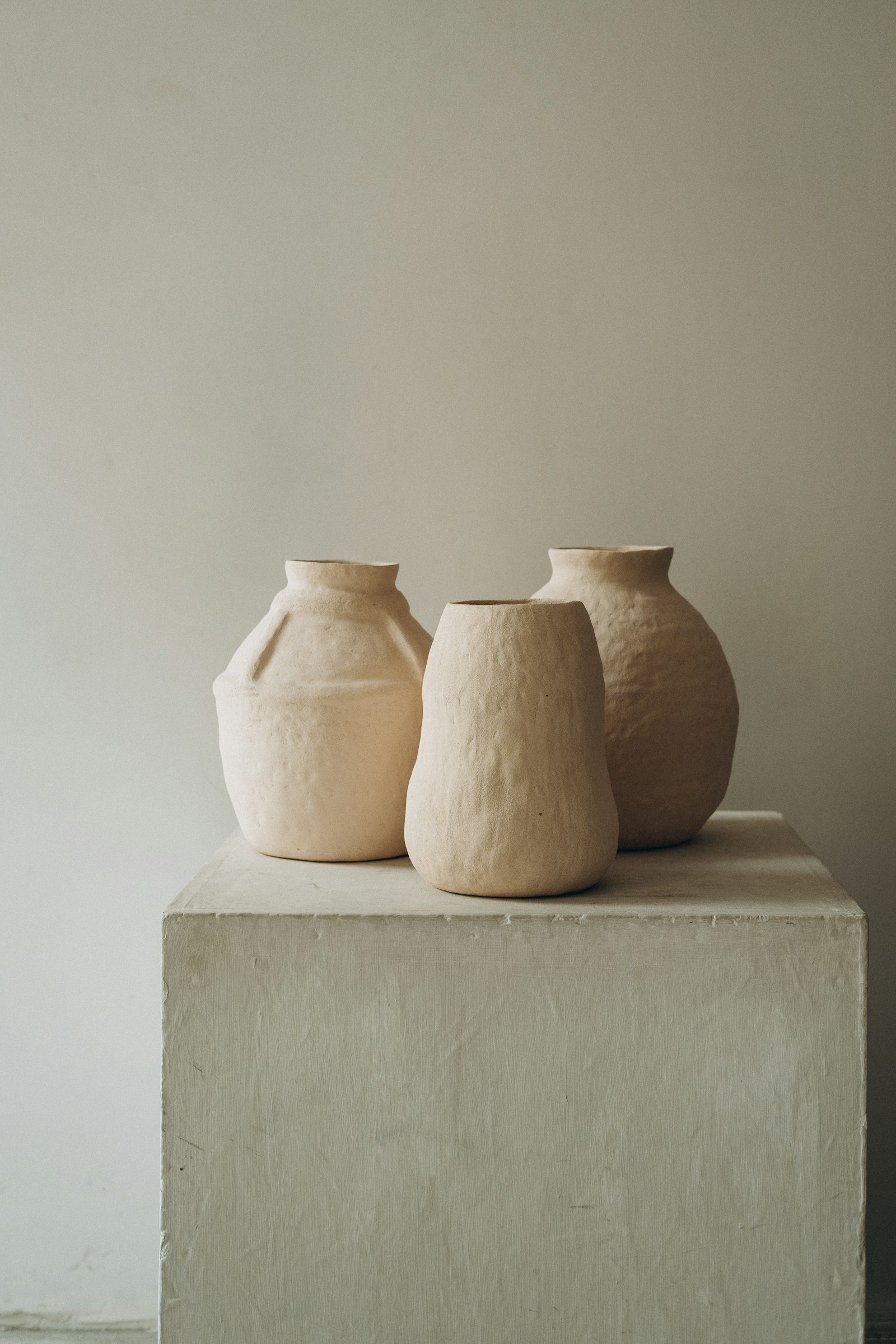 Stem vessels — editorial material reference